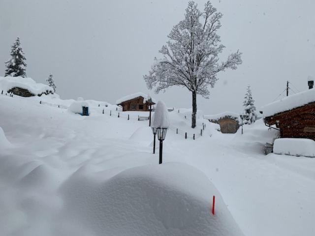 Griesalp Hotels Kiental Exterior photo